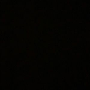 Meet your Posher, Gena